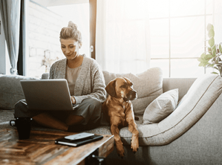 chien stérilisé question